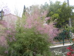 DSCN2349.JPG