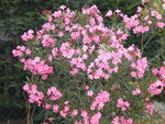 DSCN2355.JPG
