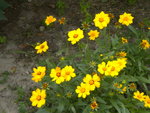 DSCN2352.JPG