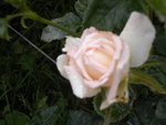 DSCN2369.JPG
