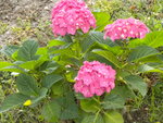 DSCN2377.JPG