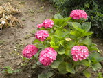 DSCN2379.JPG