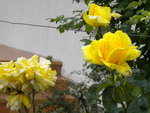 DSCN2368.JPG