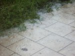 orage et grêle 010.jpg
