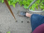 IMGP3120.JPG