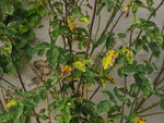 IMG_1145.jpg