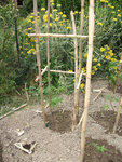 DSCF1151.jpg