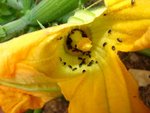DSC05867.JPG