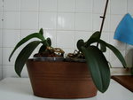 DSC05021.JPG
