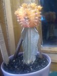 10062011159.jpg