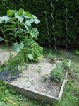 DSCN0017.JPG