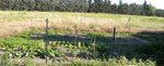 Le potager dans sa totalité. Environ 10m sur 10, mais pas mesuré précisément.