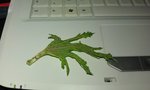 IMAG0157.jpg