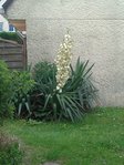 Photo0058b.jpg