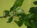 P1010216 (Copier).JPG