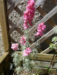 2011-06-14.jpg