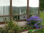 IMAG0127.JPG
