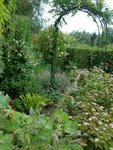2011-06-11 pignon X.jpg