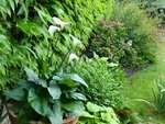 2011-06-16 entree X.jpg
