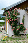 08062011-_D706725.jpg