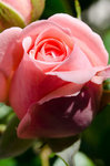 10062011-_D706794.jpg