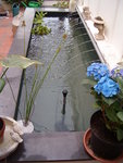 veranda2.JPG