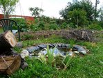 vue terrasse bassin et potager.JPG