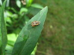 IMG_0076.JPG
