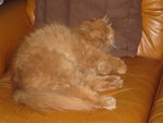 IMG_0054.JPG