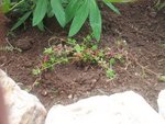 2011-06-19 18.18.39.jpg