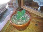 2011-06-19 18.20.14.jpg