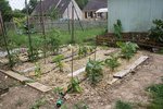 Aubergines, poivrons, tomates.JPG