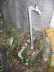 IMG_5572b.JPG