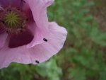 DSCN3284.JPG