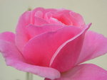 DSCN3586.JPG