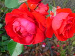 DSCN3590.JPG