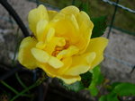 DSCN3592.JPG