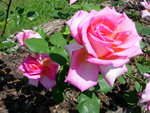 DSCN4145.JPG