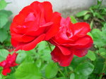 DSCN4199.JPG