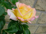 DSCN4201.JPG