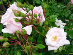 DSCN4213.JPG
