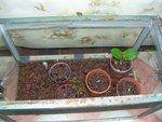 DSCN4528.JPG