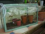 DSCN4530.JPG