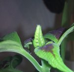2011-06-23 22.33.24.jpg