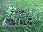 110622_carreA.jpg
