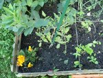 110622_A3.jpg
