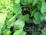 110622_B5.jpg