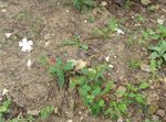 DSCN1165.JPG