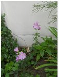 DSCN1166.JPG