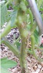 DSCN1158.JPG